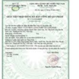 Queenup - Nội tiết tố nữ - Queen up (Lọ 30 viên)