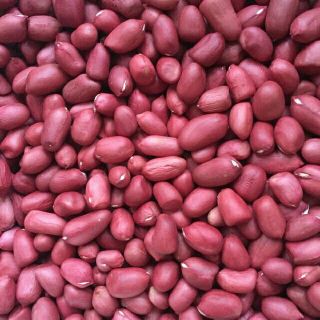 Lạc Đỏ Rang Muối (Lạc Giống Cũ)