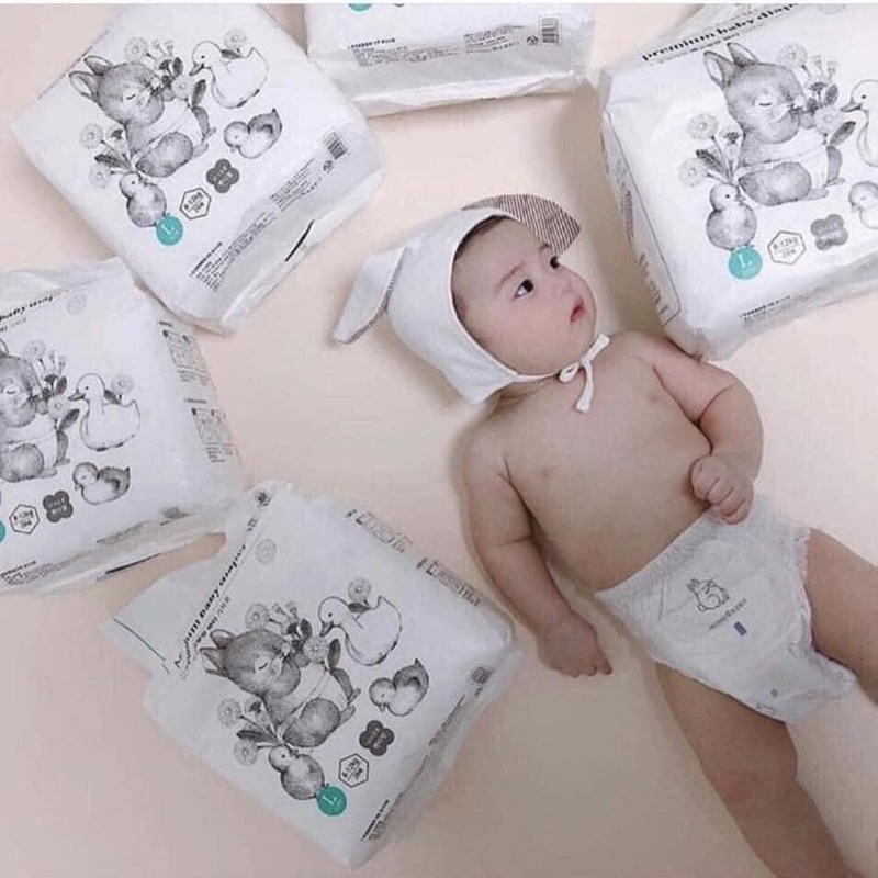 Bỉm dán/ tã dán/ quần sơ sinh Momo Rabbit nội địa Hàn size S36, M32, L28, XL22, XXL18 - The Caring Cube