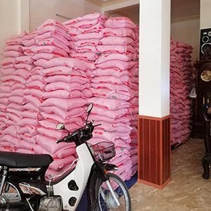 10 kg Gạo Tám Thơm Hải Hậu
