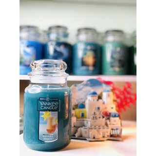 Nến Thơm Yankee Candle Size L 623gr