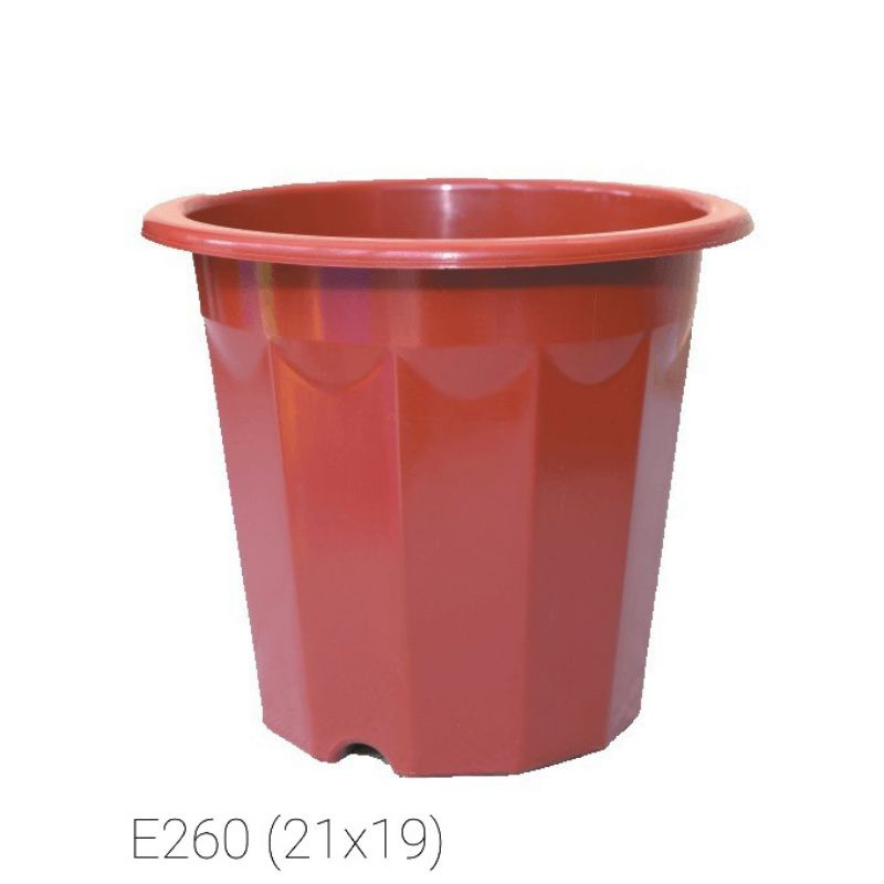 Combo 5 Chậu nhựa E260, E280, E300 hàng đẹp