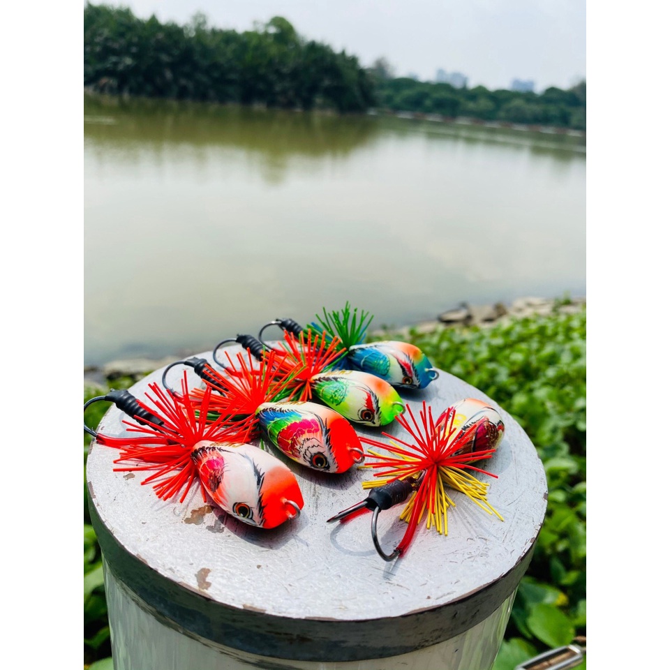 Nhái gỗ câu cá