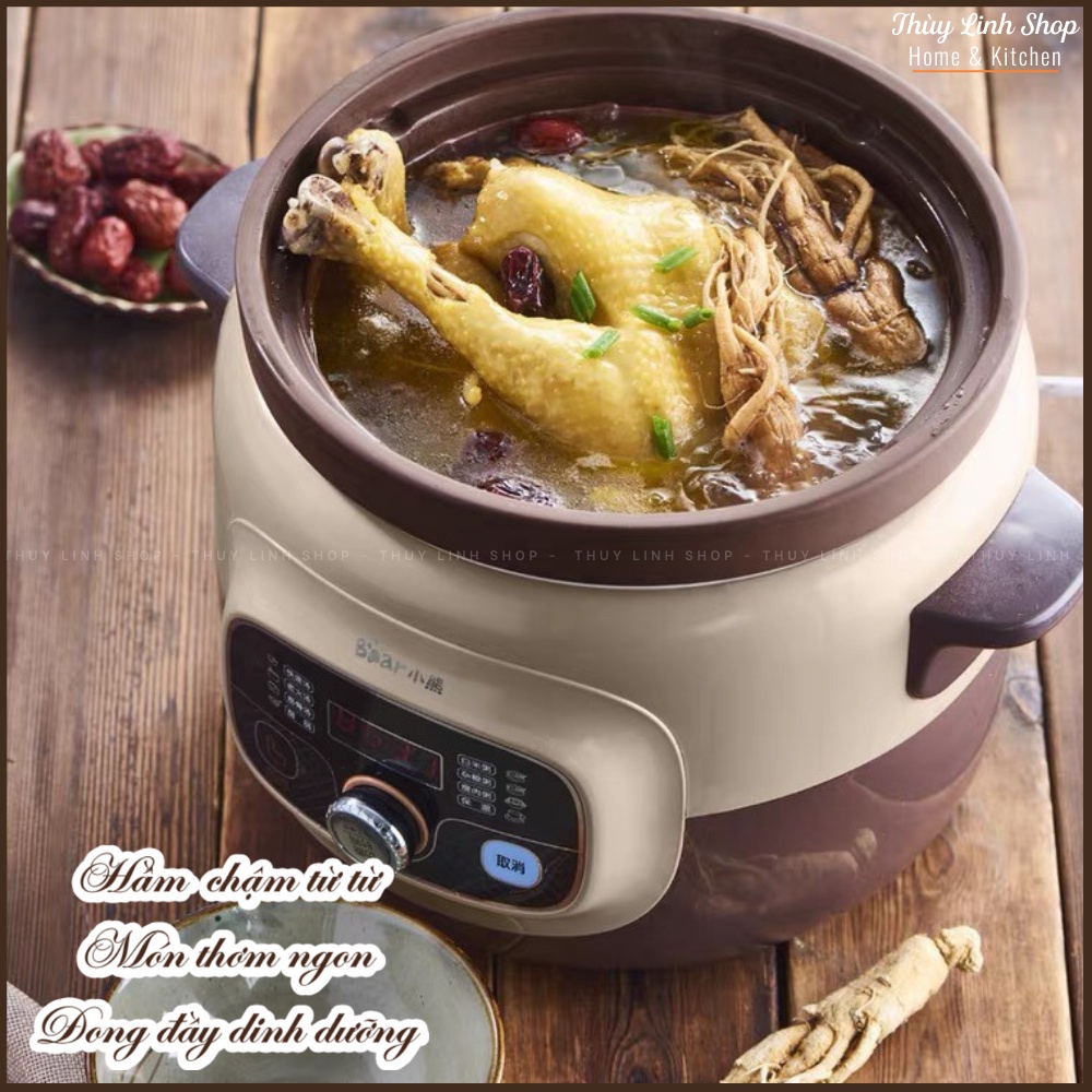 NỒI HẦM ĐA NĂNG BEAR 4L LÕI TỬ SA TƯ NHIÊN CAO CẤP