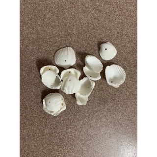 100 GR VỎ SÒ HUYẾT NHỎ