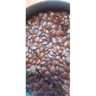Hạt giống keo dậu (keo cuba)