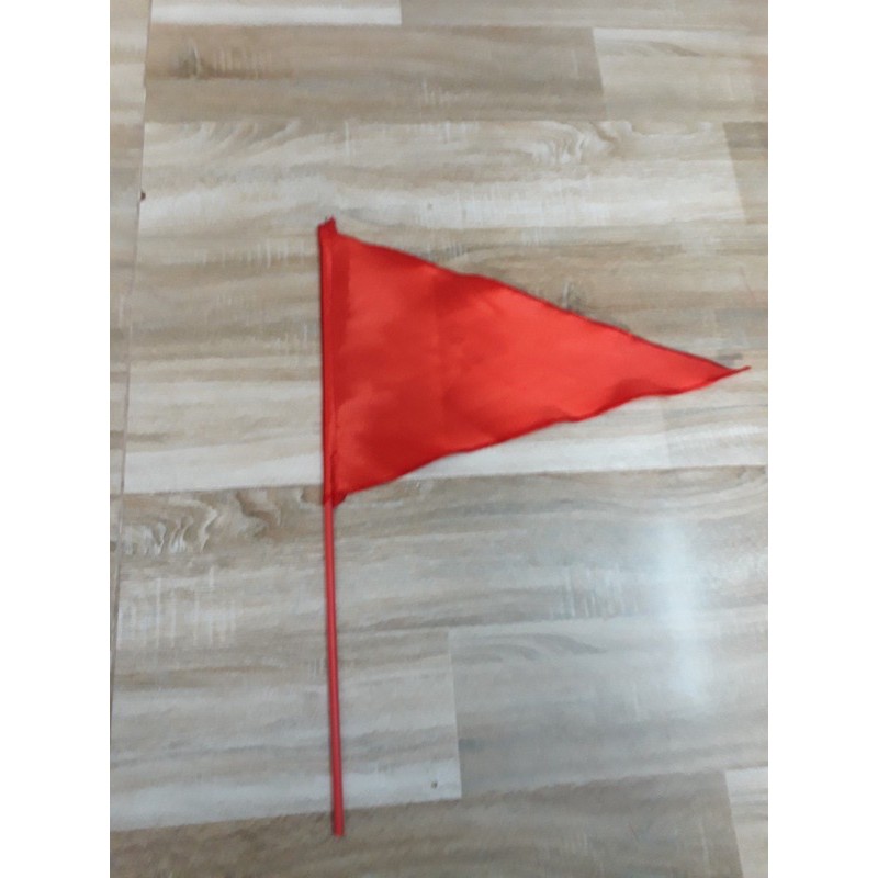10 lá CỜ CẦM TAY kèm cán nhựa