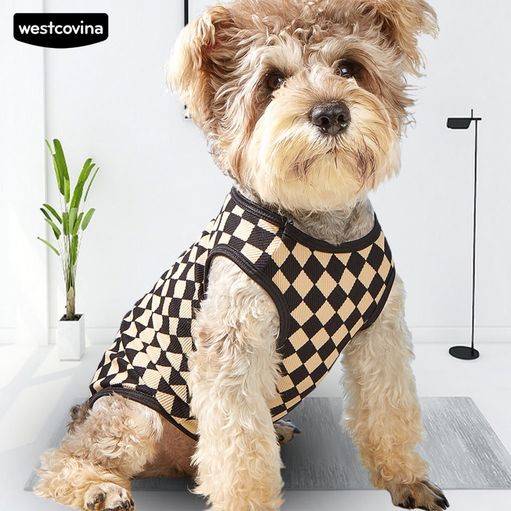 (MớI) Áo Thun ThờI Trang MùA Hè Cho Thú Cưng