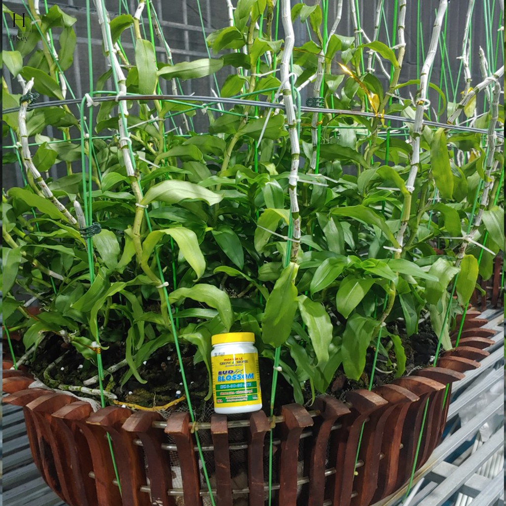 Phân Bón Lá Vàng GROMO 63030