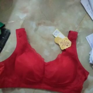 Áo lót ngực