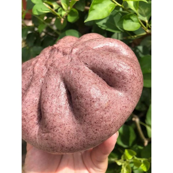 Bánh bao gạo lức nấm chay