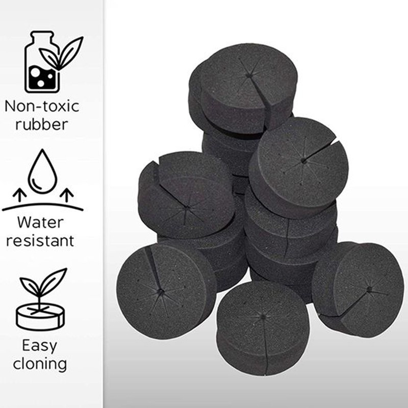 60 Đế xốp trồng cây loại 2inch tiện lợi chất lượng