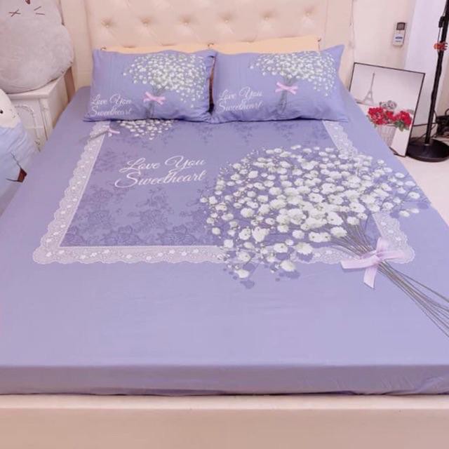 Bộ Ga Gối Cotton TiCi 3D Nhập Khẩu Cao Cấp Set Ga Gối Đủ Size Mềm Mại Không Xù