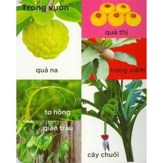 Sách - 100 Từ Mới - Làng Quê Của Em