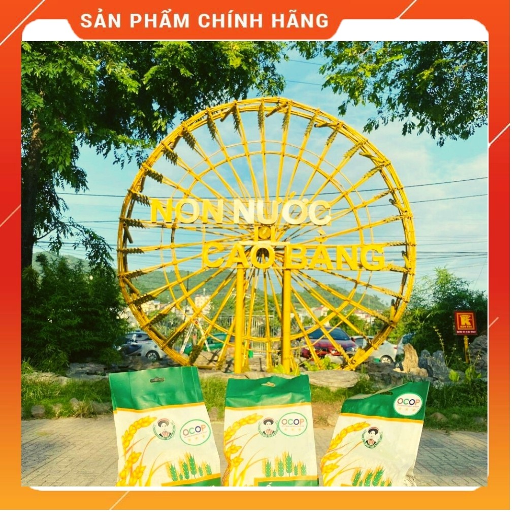 Gạo nếp hương Bảo Lạc 1kg - Đặc sản Cao Bằng, hạt tròn, thơm, dẻo, đậm vị