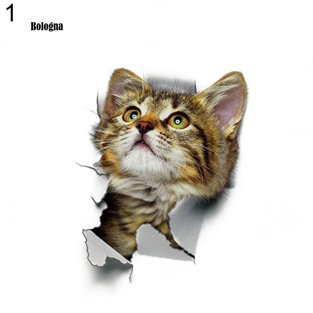 Hình Dán Con Mèo 3D Dễ Thương Dùng Để Trang Trí Nội Thất