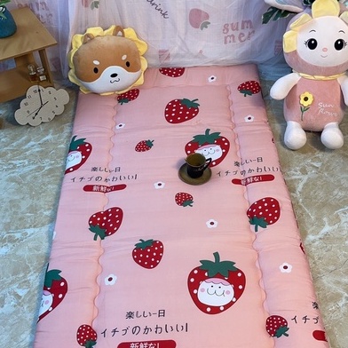 Đệm Ngủ Văn Phòng , Nệm Topper Nệm Đa Năng Du Lịch Tiện Lợi Size 90X190Cm Gấp Gọn Tiện Lợi