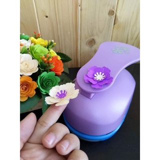 DẬP HOA XỐP BITIS, GIẤY