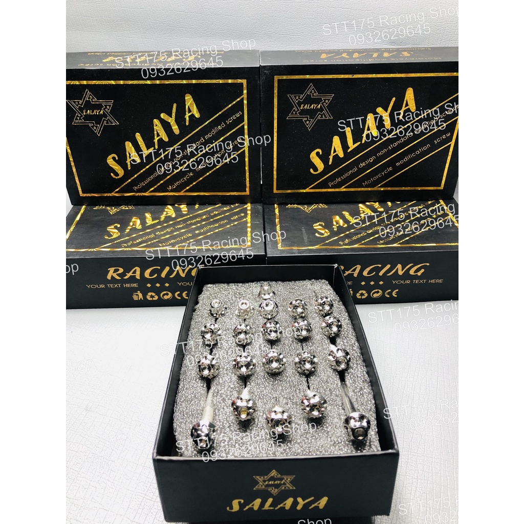 Bộ Ốc Lốc Máy Salaya Inox 304 dành cho nhiều loại xe