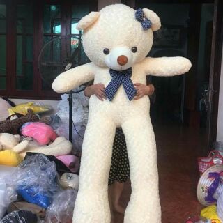 Gấu  tétdy 2m