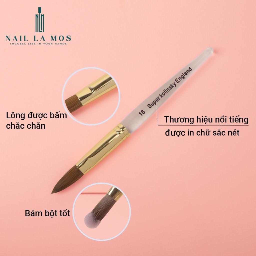 Cọ đắp bột Super Kolinsky England chính hãng - Cọ lông chồn mềm mại, bám bột, cán trong suốt