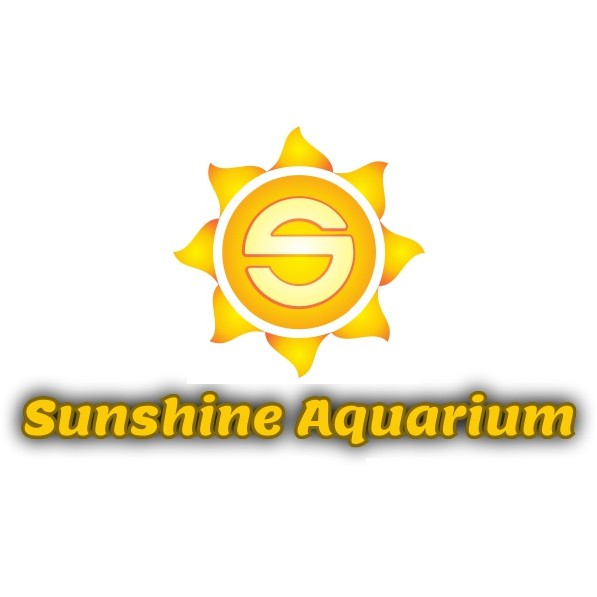 Sunshine Aquarium, Cửa hàng trực tuyến | BigBuy360 - bigbuy360.vn