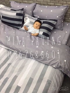 Set chăn ga chưa bo chun