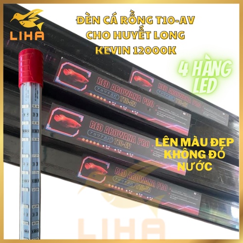 Đèn Led T10-AV 4 Hàng Bóng 12000K - Đèn Tanning Cá Rồng T10 AV Màu Đẹp Như Mayin