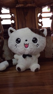 Mèo MengMeng 4 sắc thái