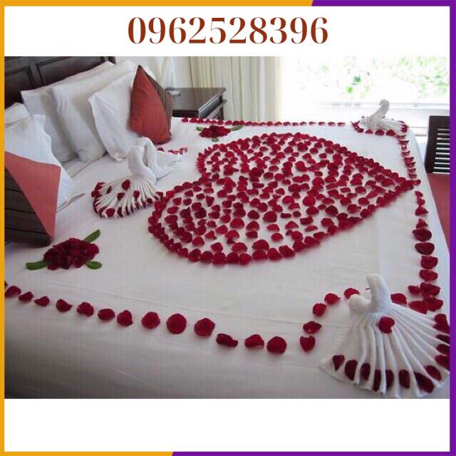 COMBO 4 Khăn Gấp Thiên Nga ( Gấp Sẵn)