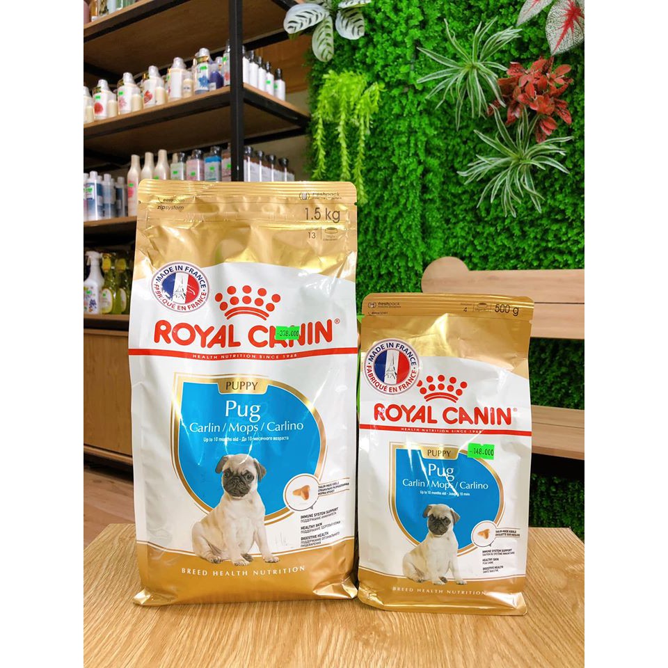 ROYAL CANIN Thức ăn hạt dành riêng cho PUG 500gram