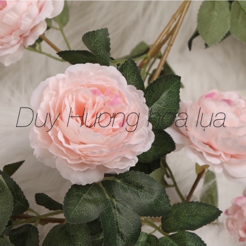 Hoa giả/Hoa lụa - Dây leo Hồng Trà dài 2m decor loại 1