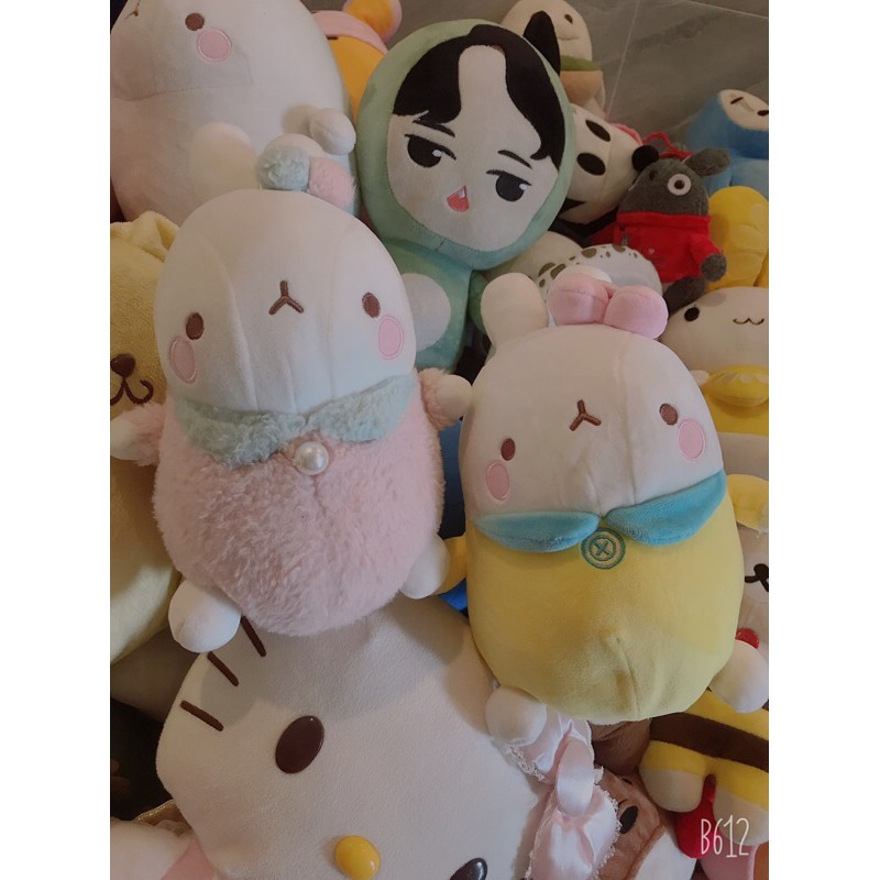 Molang thỏ đẹp