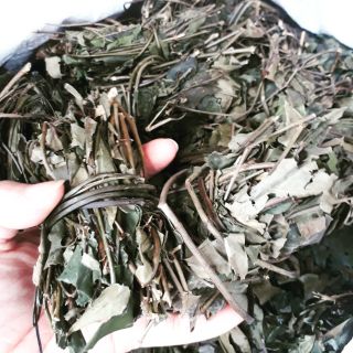 1kg Ngọn chè vằng sẻ cuộn