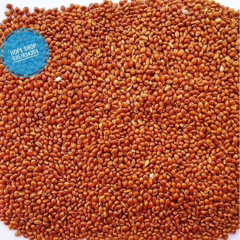 Hạt kê đỏ Gò Công 1kg/ Kê đỏ hạt nhỏ