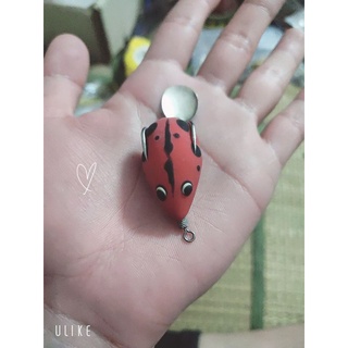Nhái hơi sóc chuột ( nổi, lửng)