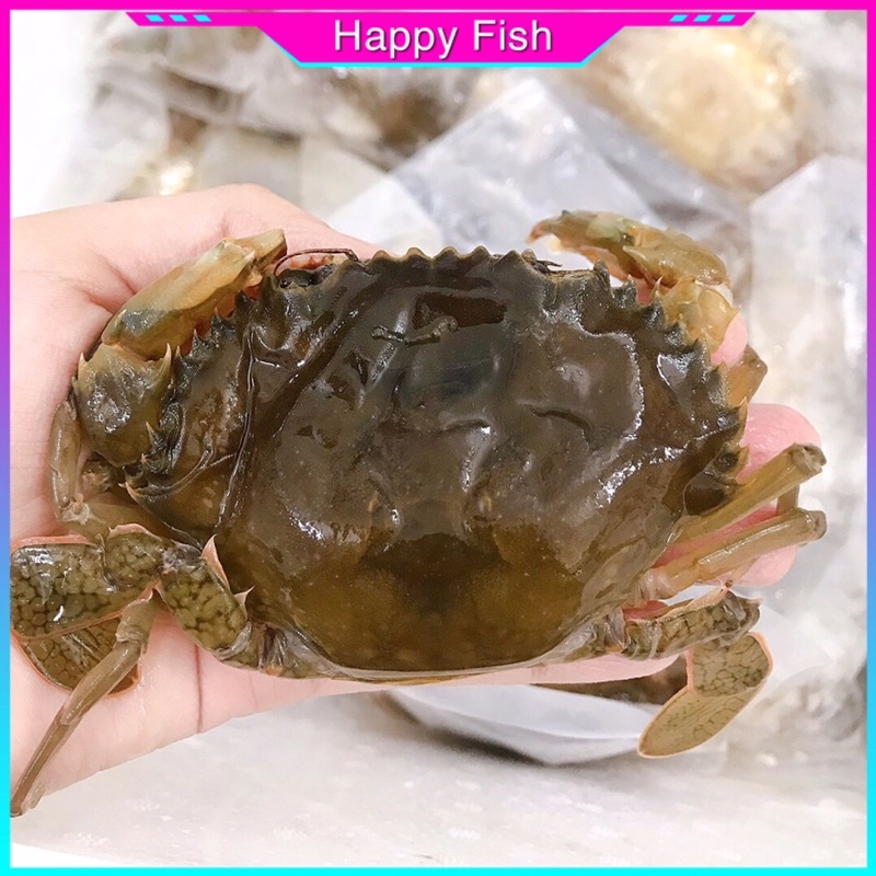 Cua Lột (5-6 con/kg) - Giao Hỏa Tốc HCM