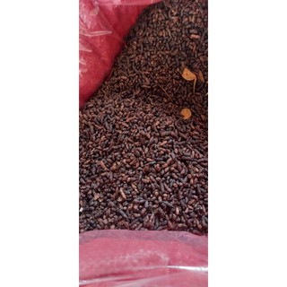 Siêu ưu đãi - Combo 5 kg phân dơi