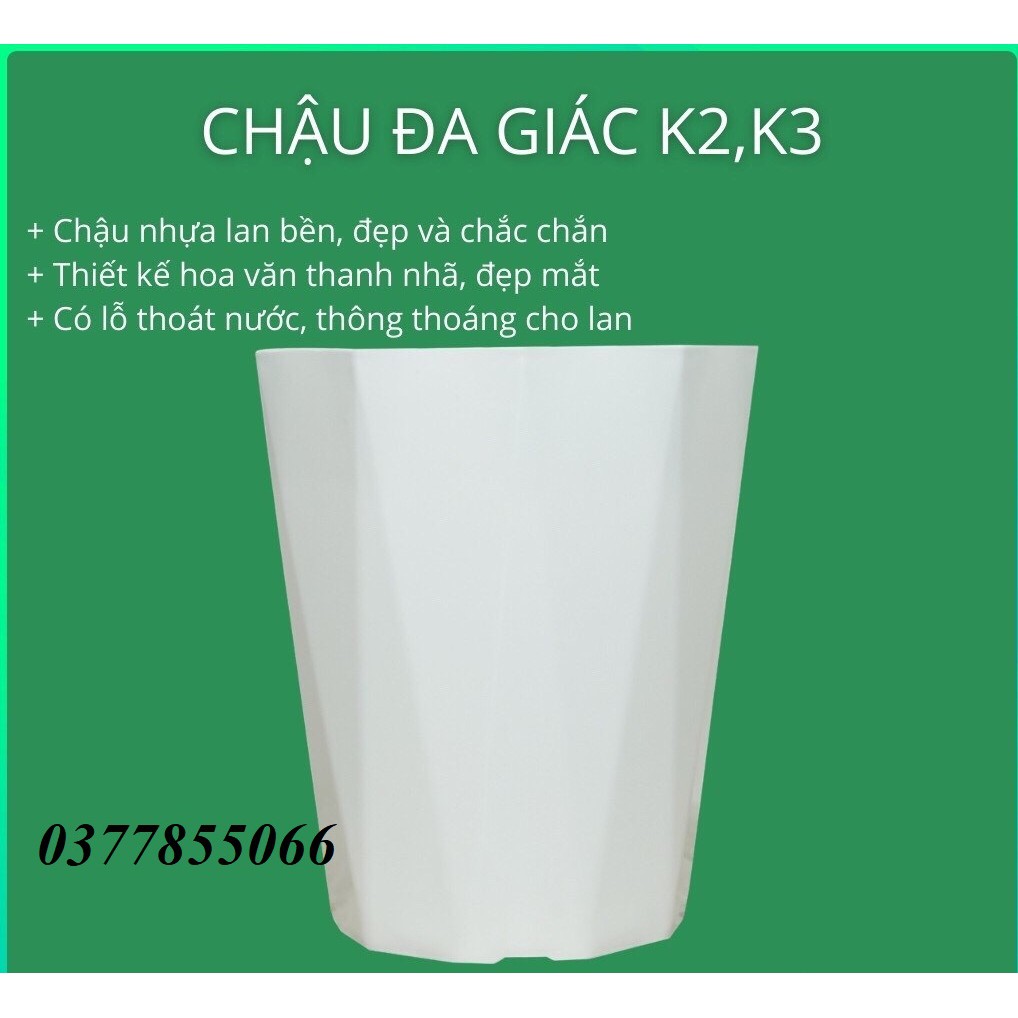 Chậu Nhựa Kim Cương Trắng Đa Giác K2,K3 Nhiều Kích cỡ Trồng Hoa Lan, Cây cảnh- Chậu Nhựa Bền, Đẹp, Nhẹ, Đa Năng