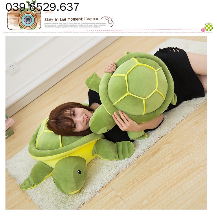 Gấu bông teddy bear hình con rùa, rùa bông màu xanh gấu bông cao cấp Nằm sấp đọc sách Con gái Quà tặng sinh nhật ngày lễ