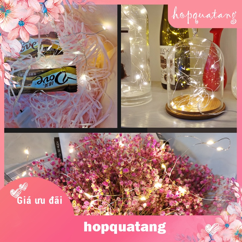 Dây đèn led trang trí fairylight đom đóm có sẵn pin 1m 2m