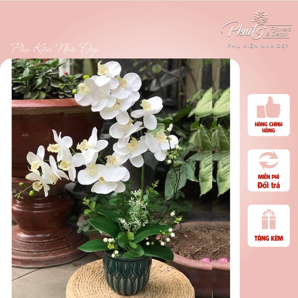 Chậu hoa lan hồ điệp giả trang trí phòng khách đẹp PKND FLOWERS & DECOR CH08