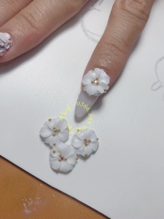 Hoa đậu 2 tầng Nail