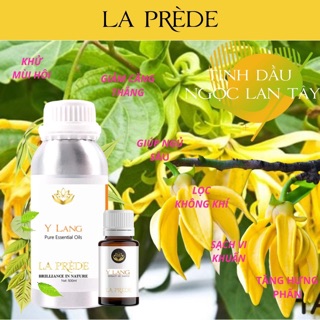 Tinh dầu cao cấp Ngọc Lan Tây ( Made in india) Ylang