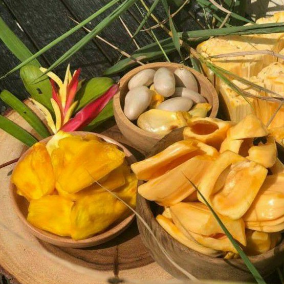 MÍT SẤY LẠNH DẺO NGUYÊN VỊ