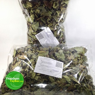 Cây Xạ Đen Khô