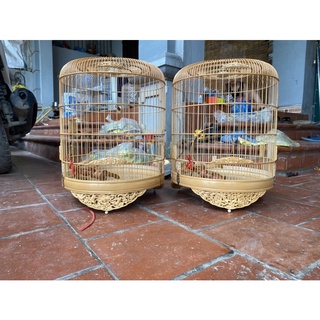 Lồng Chim Choè Lửa, Choè Than, Chào Mào hàng 64- 68cm