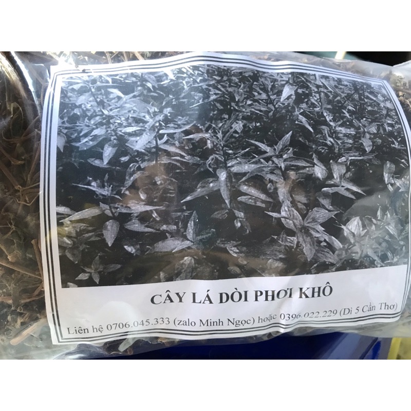 combo 1 ký lá dồi phơi khô