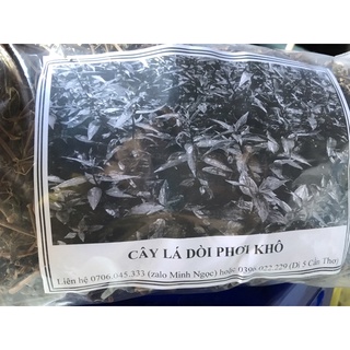 Combo 1 ký lá dồi phơi khô
