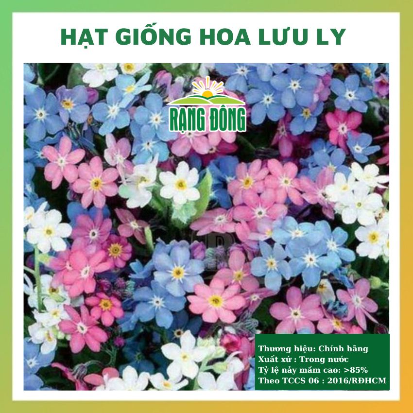 Hạt giống hoa lưu ly nhiều màu đẹp dễ trồng chăm sóc tỉ lệ nảy mầm cao 0,03g RADO 0887